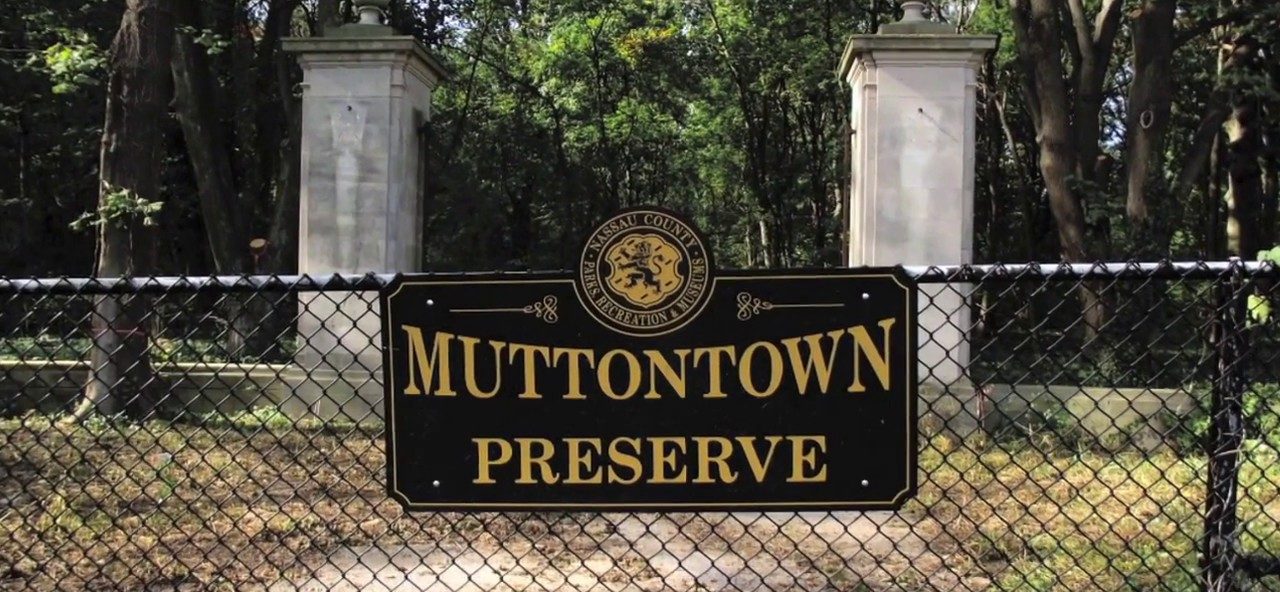 Family Hike in Muttontown Preserve